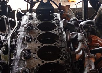 WhatsApp Image 2025-12-08 at 09.37.27